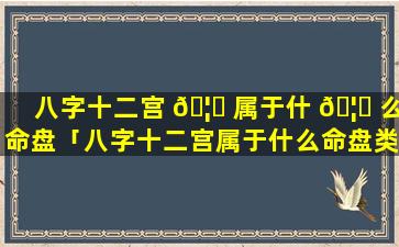 八字十二宫 🦊 属于什 🦄 么命盘「八字十二宫属于什么命盘类型」